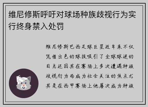 维尼修斯呼吁对球场种族歧视行为实行终身禁入处罚